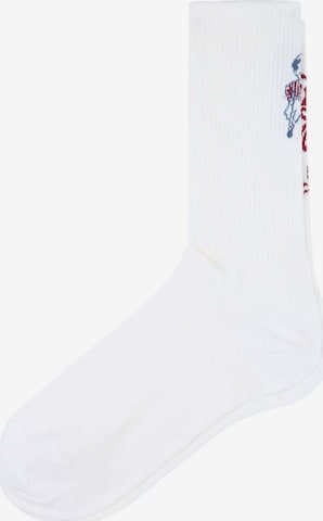 Scalpers Socks 'Ice' in White: front