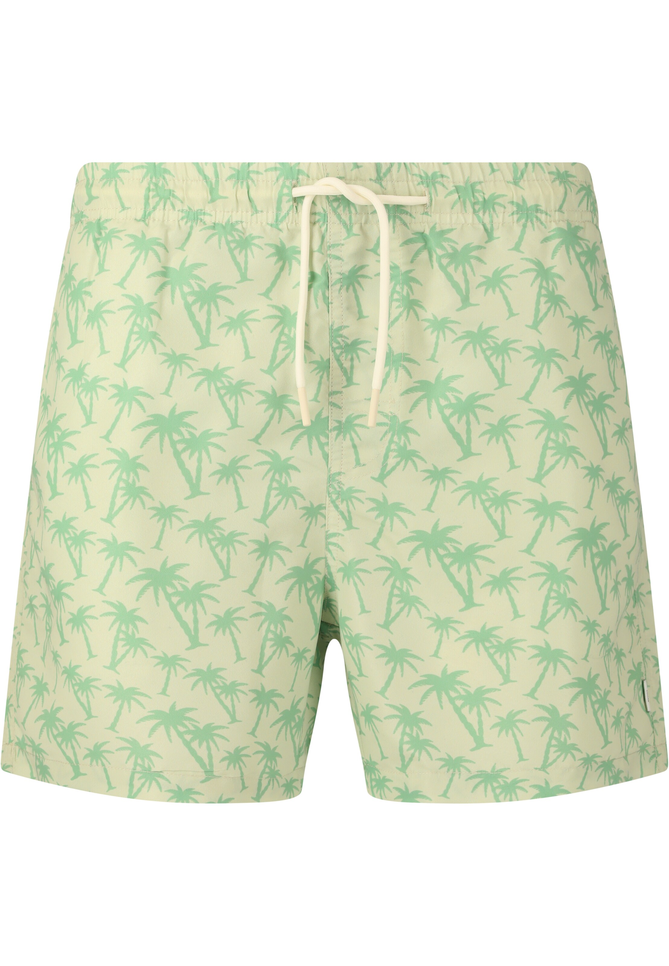 NOU Swimming shorts 'Fileyer' in Green: front