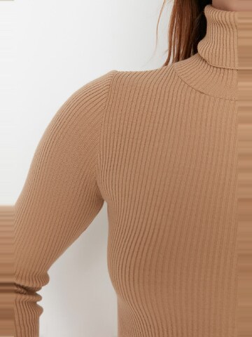 Pullover di Trendyol in marrone