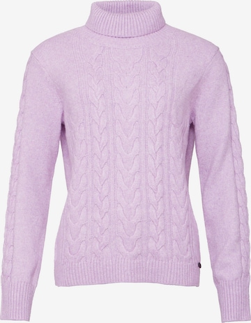 VICCI Germany Sweater in Purple: front