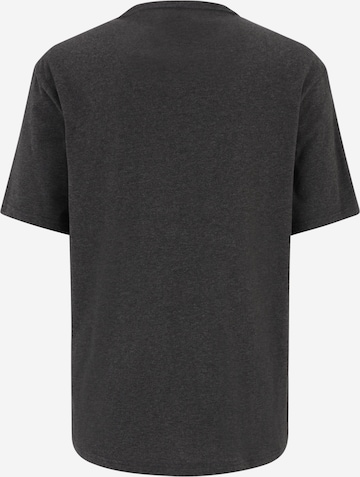 Calvin Klein Underwear Обычный Футболка в Серый