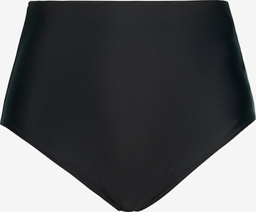 Studio Untold Bikini bottom in Black: front