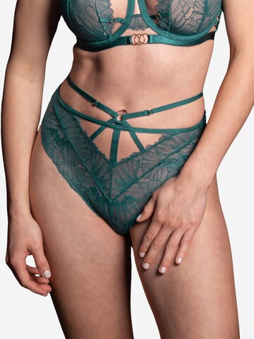 SugarShape Panty in Grün: predná strana