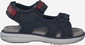 GEOX Offene Schuhe 'J15DRB' in Blau