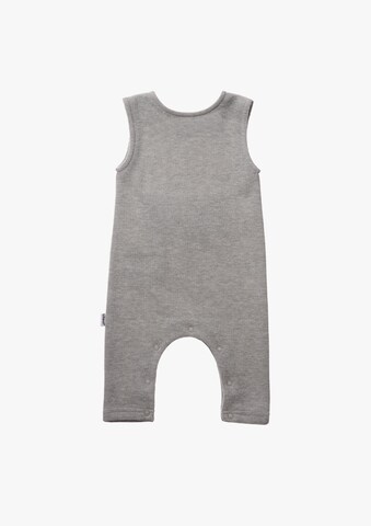 LILIPUT Underwear Set in Grey