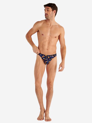 HOM G-String ' Funky Styles ' in Mischfarben