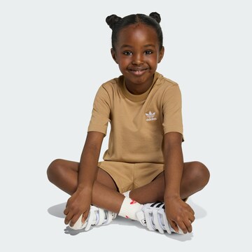 Set ADIDAS ORIGINALS en marron