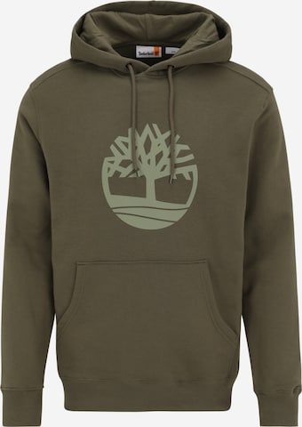 Felpa di TIMBERLAND in verde: frontale