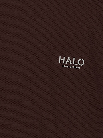 HALO Shirt in Braun