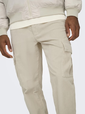 Only & Sons - Tapered Pantalón cargo 'ONSLou' en gris