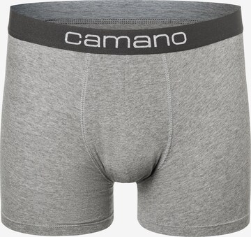 camano Boxer shorts in Grey: front