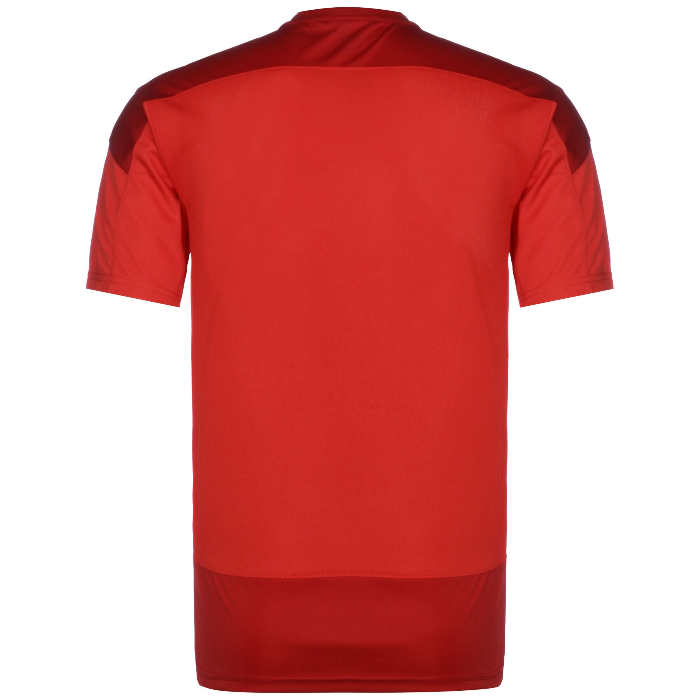 PUMA Performance Shirt 'TeamGoal 23' in Red