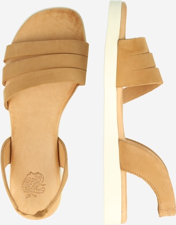 Apple of Eden Strap Sandals 'Ivy 10' in Brown