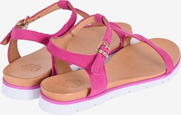 Apple of Eden Strap Sandals ' DANA ' in Pink