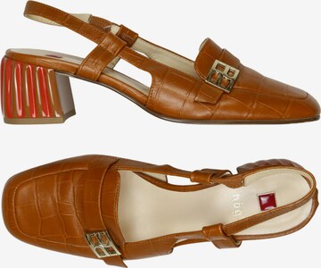 Högl Sandals & High-Heeled Sandals in 35 in Brown: front