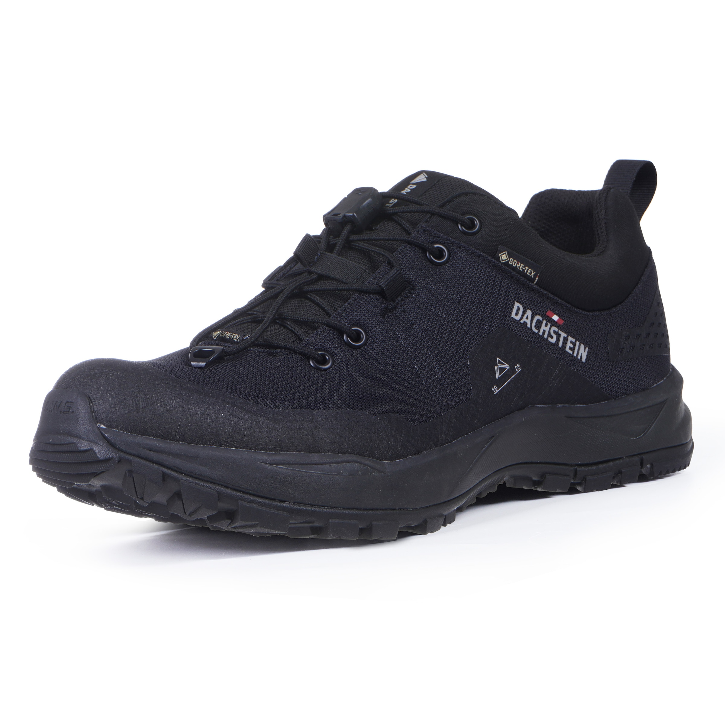 Dachstein Flats 'Delta Peak GTX' in Black: front