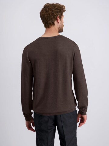 PIERRE CARDIN Trui in Bruin