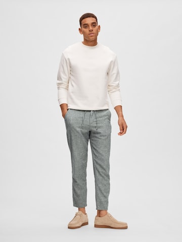 SELECTED HOMME Regular Chino Pants 'Brody' in Blue