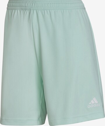 ADIDAS SPORTSWEAR Workout Pants 'Entrada 22' in Blue: front