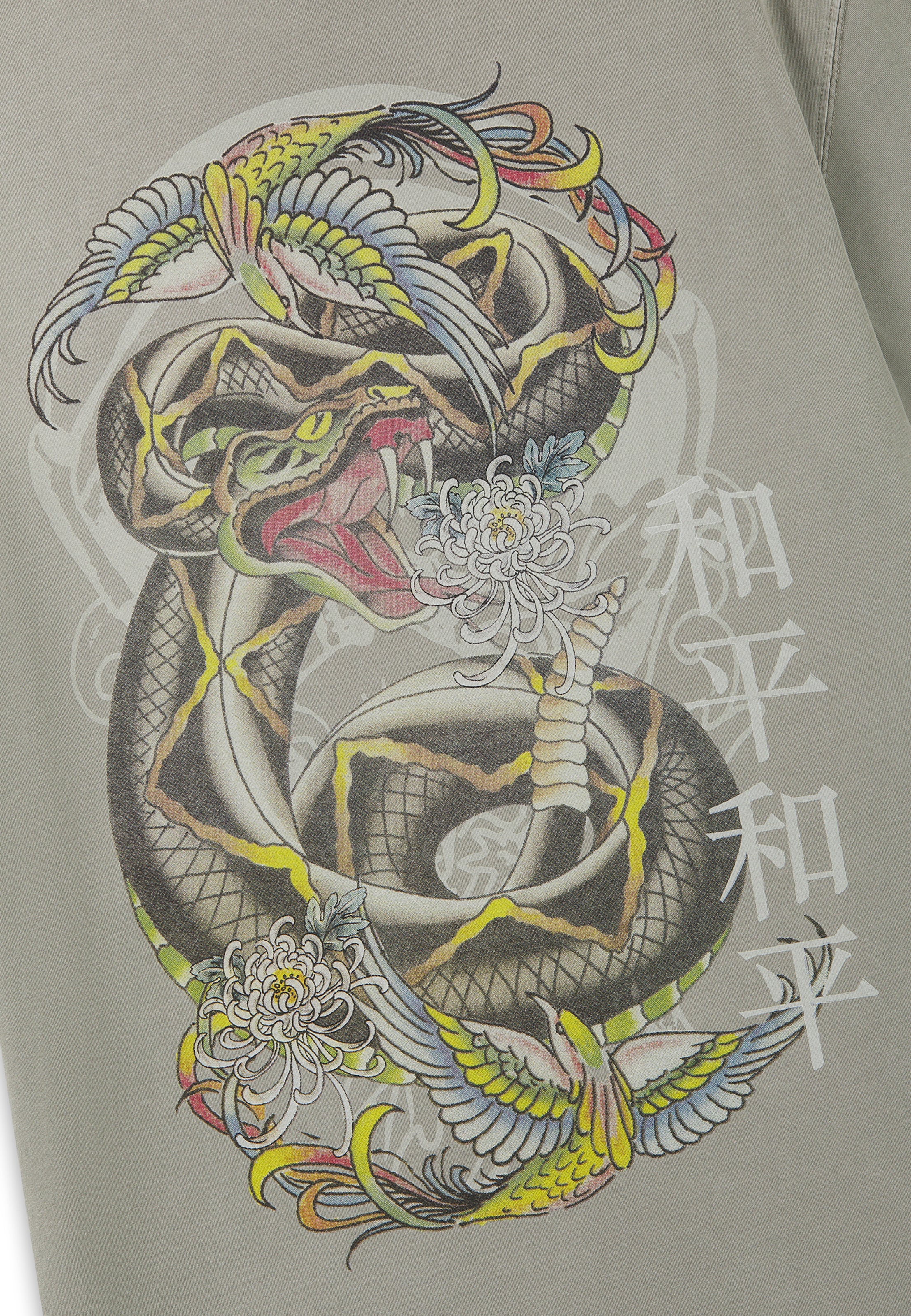 Ed Hardy Футболка 'Snake Charmer' в Зеленый