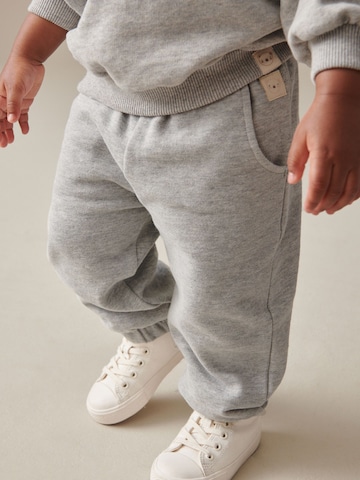 Tapered Pantaloni di Next in grigio