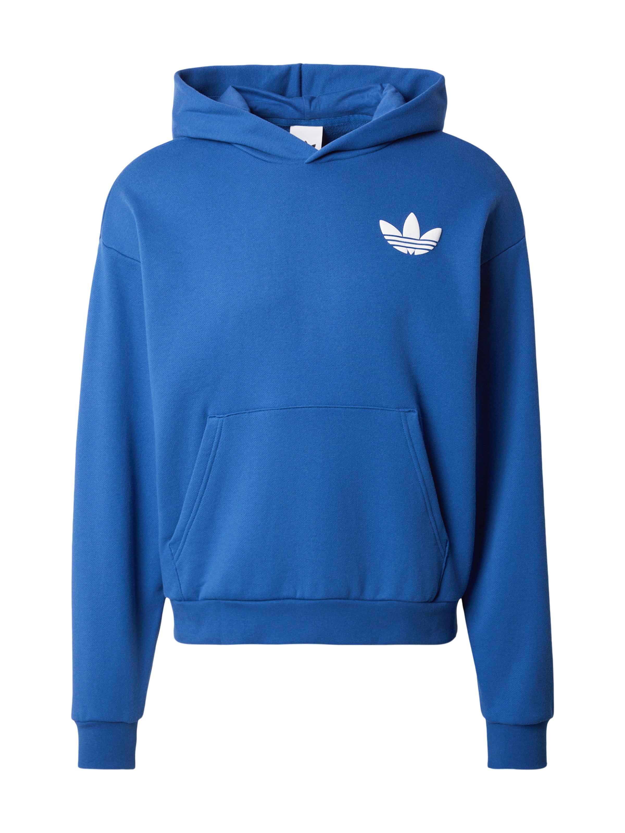 ADIDAS ORIGINALS Sweatshirt 'World Wide Hoops Q1' in Blauw: voorkant