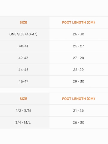 CALZEDONIA Socks 'CHRISTMAS' in Blue