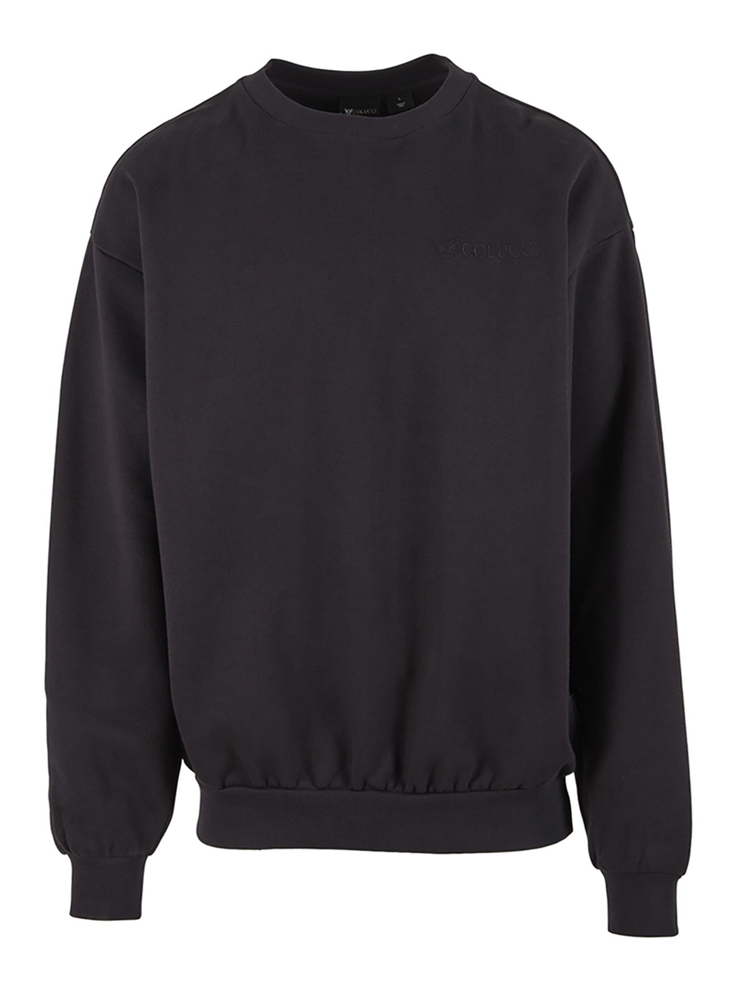 Colucci Sweatshirt 'Ikarus' in Black: front