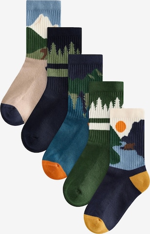 mėlyna Next Kojinės: priekis