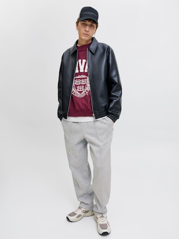 Loosefit Pantalon JACK & JONES en gris