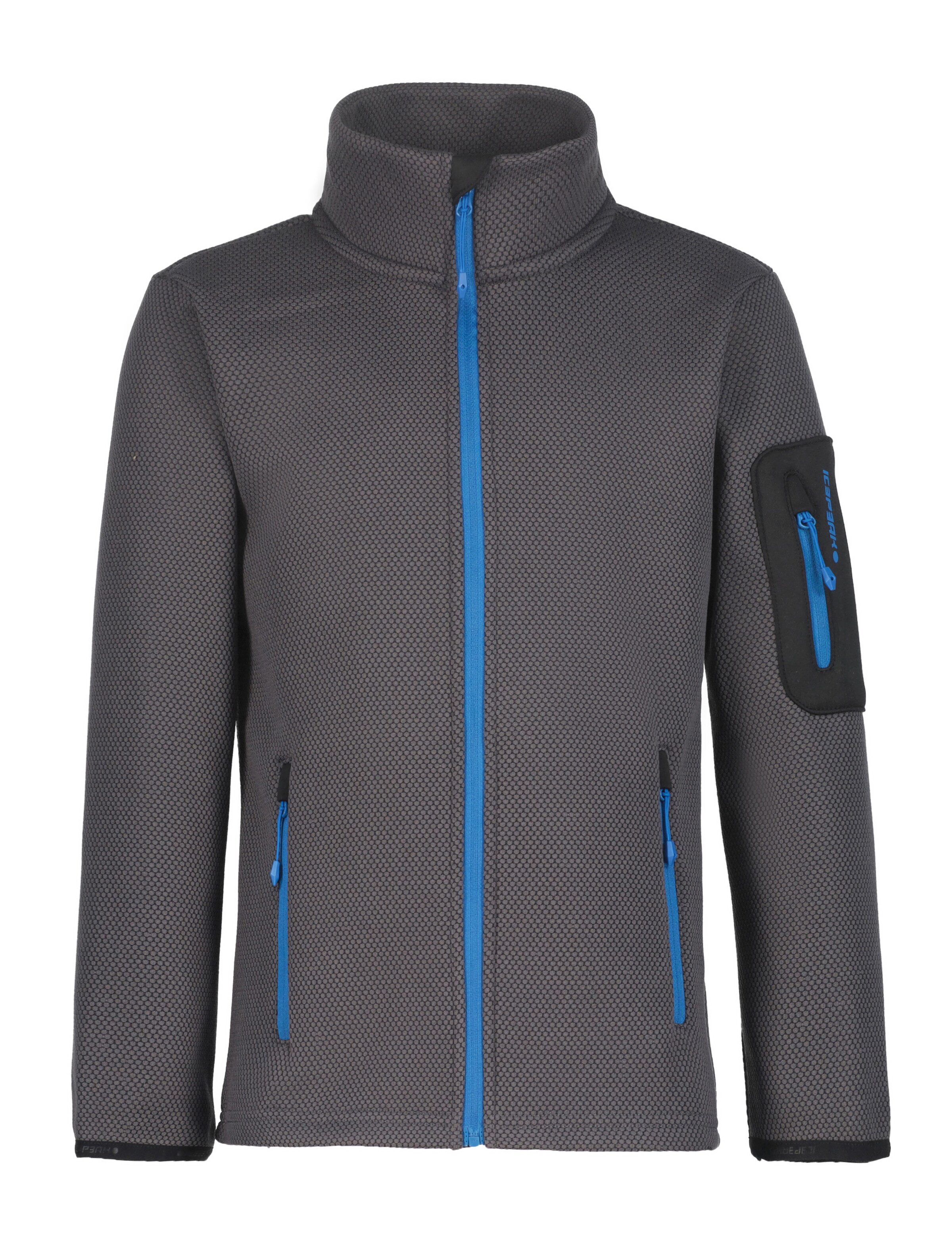 ICEPEAK Funktionsfleecejacke in Grau: Vorderseite