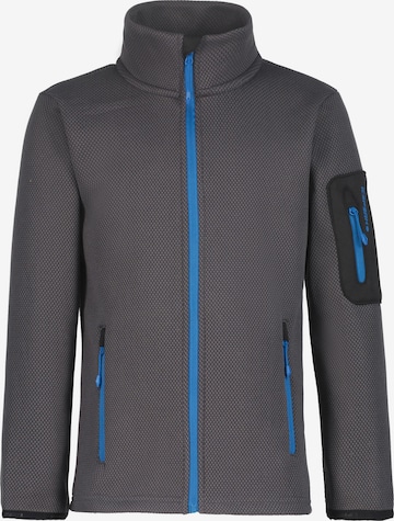 ICEPEAK Athletic Fleece Jacket in Grey: front