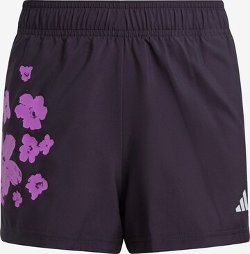 Regular Pantalon de sport 'Train Essentials Seasonal' ADIDAS SPORTSWEAR en violet : devant
