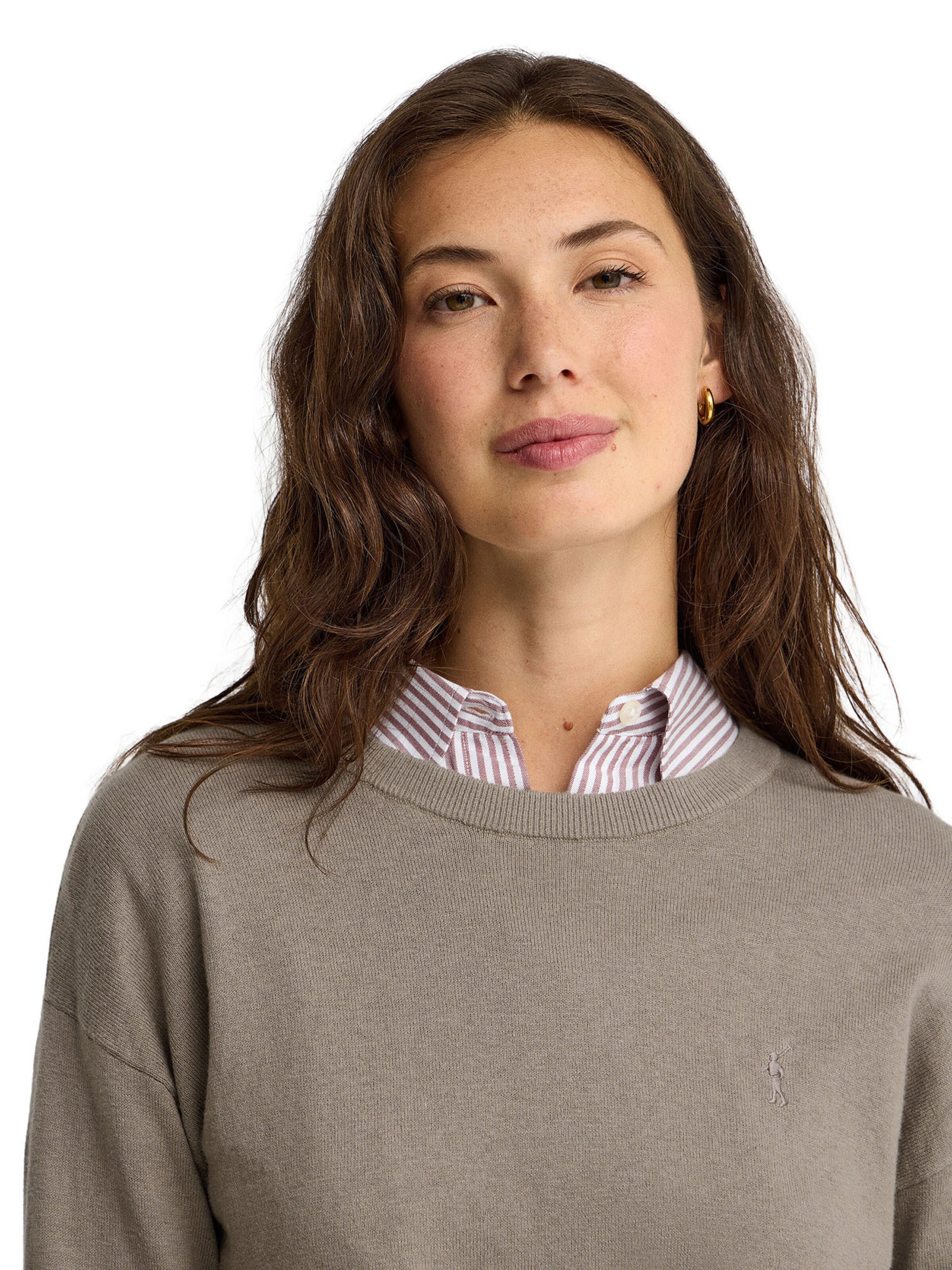 Polo Club Sweater 'RIGBY' in Brown