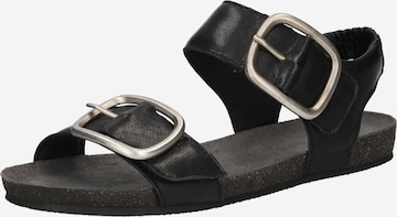 Ca'Shott - Sandalias en negro: frente