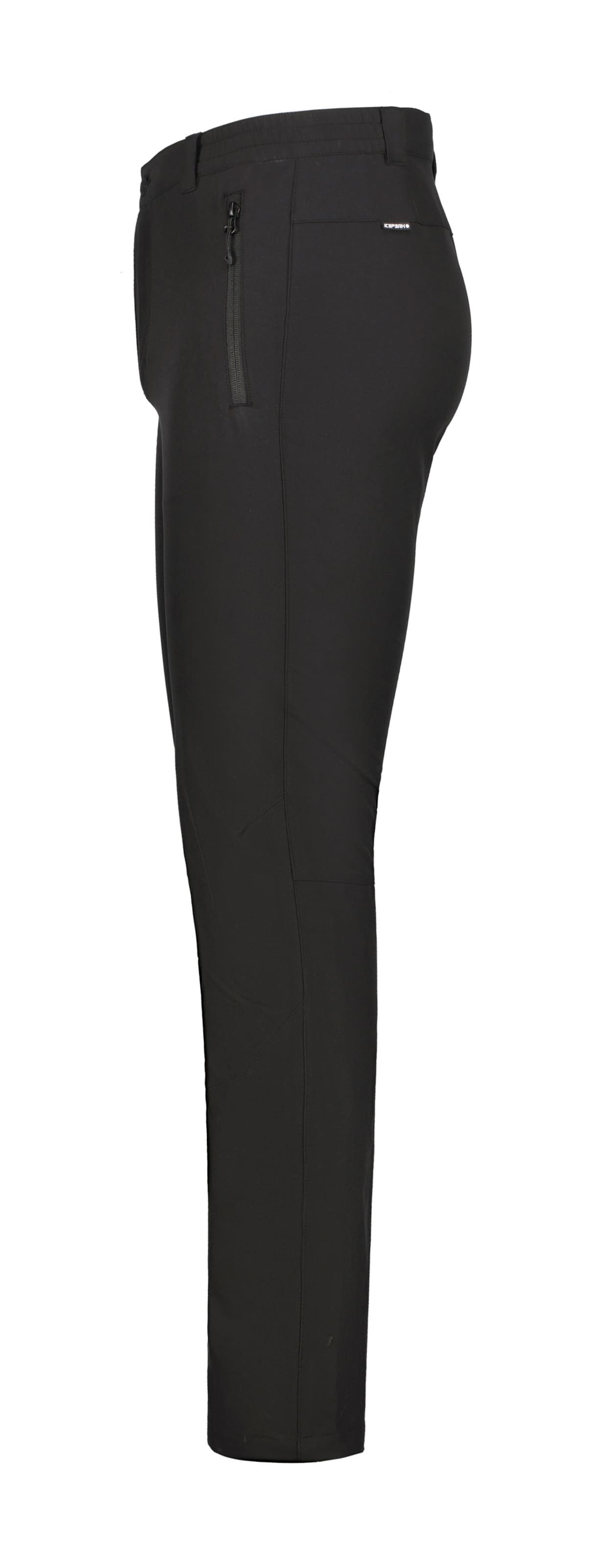 Regular Pantalon outdoor 'Baird' ICEPEAK en noir