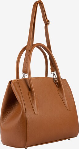 usha BLACK LABEL Handbag in Brown