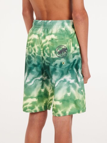 PROTEST Board Shorts 'PRTDANIEL JR' in Green