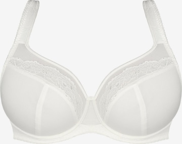 Gorsenia BH 'K441 Luisse' in Wit: voorkant