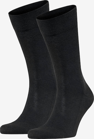 FALKE - Calcetines deportivos en negro: frente