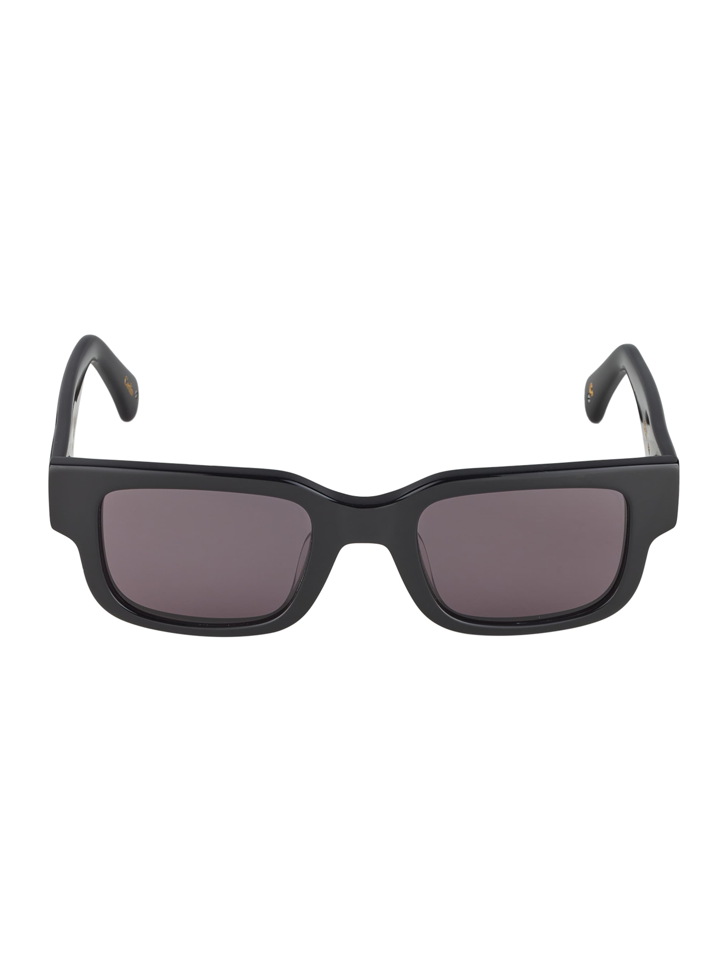 Corlin Солнцезащитные очки 'Leon' в Черный