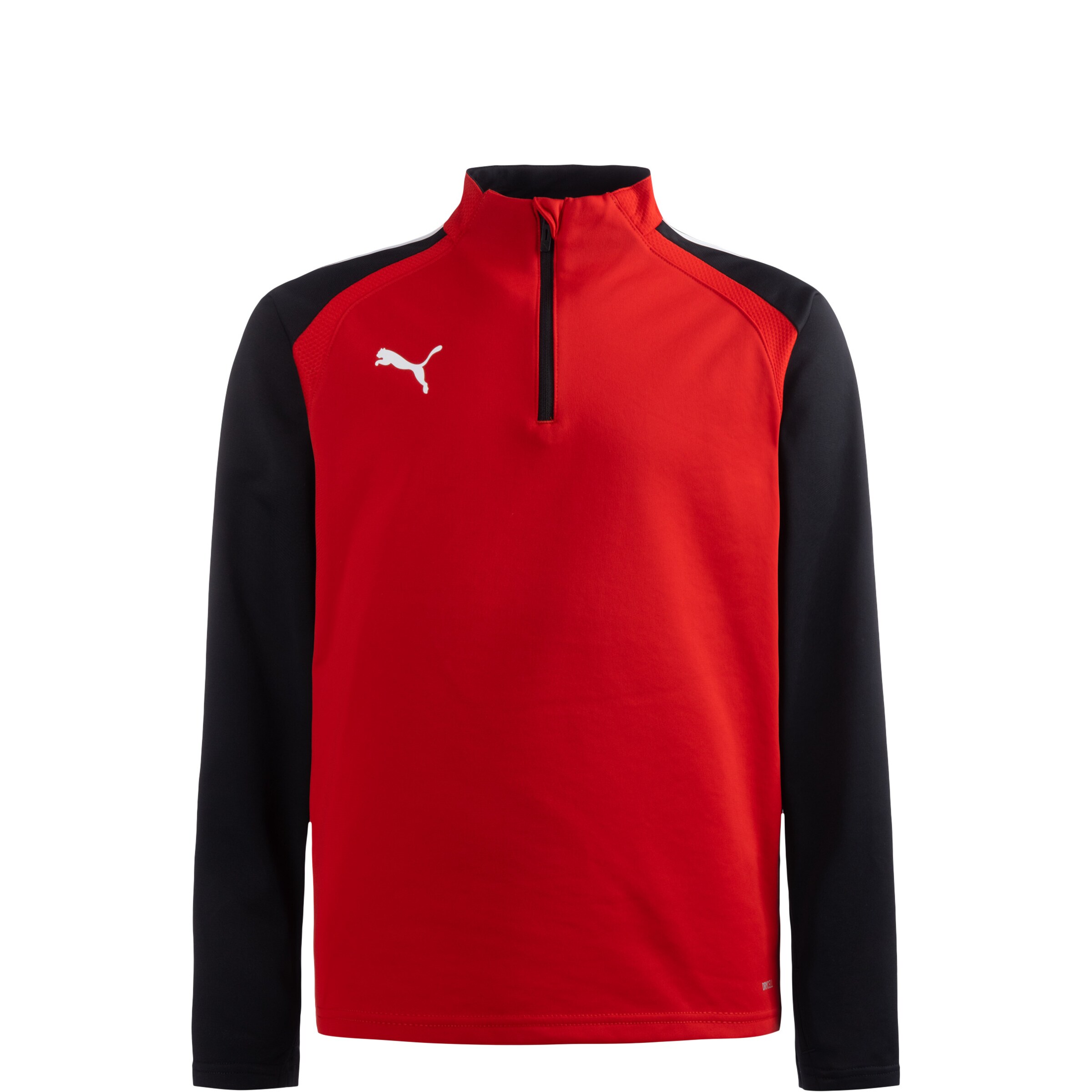 PUMA Funktionsshirt 'TeamLiga 14' in Rot: Vorderseite