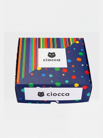 Ciocca Socks in Mixed colors