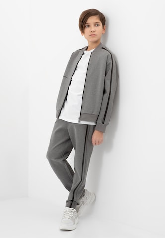 Gulliver Regular Pants in Grey