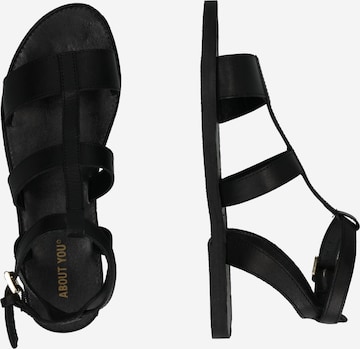ABOUT YOU Strap Sandals 'Malou' in Black