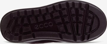 ECCO Škornji | vijolična barva