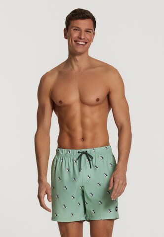 Shiwi Badshorts 'puffin 4-way stretch' i grön