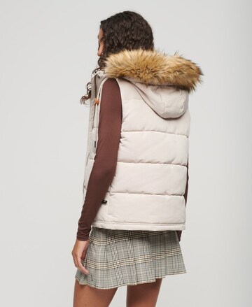 Superdry Bodywarmer in Beige