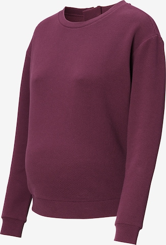 Noppies - Pullover 'Groves' em roxo: frente