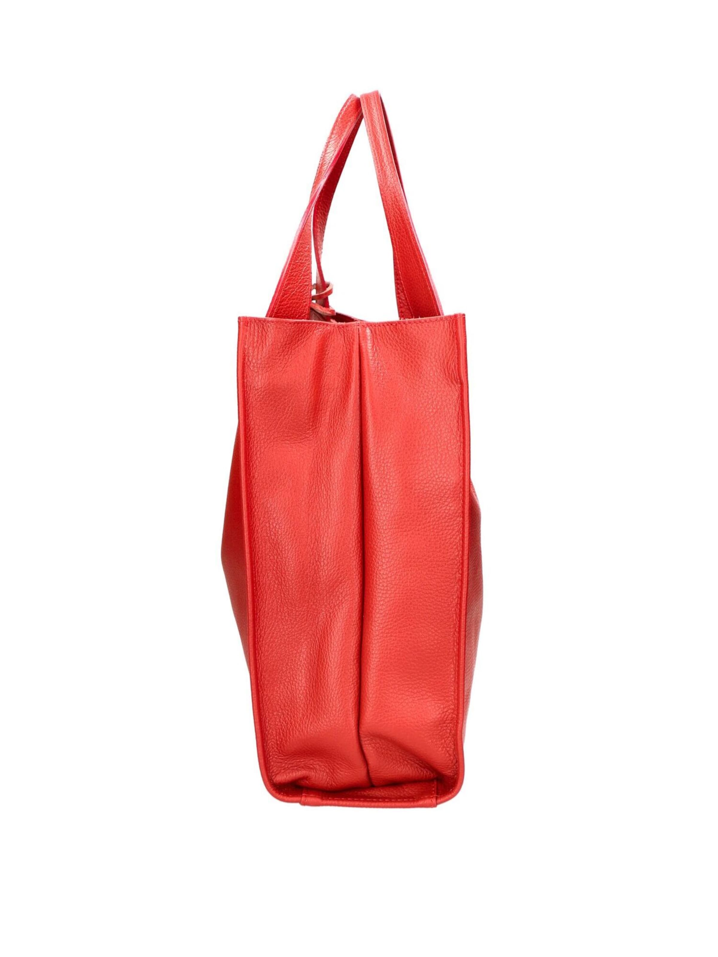 CHICCA BORSE Handbag in Red